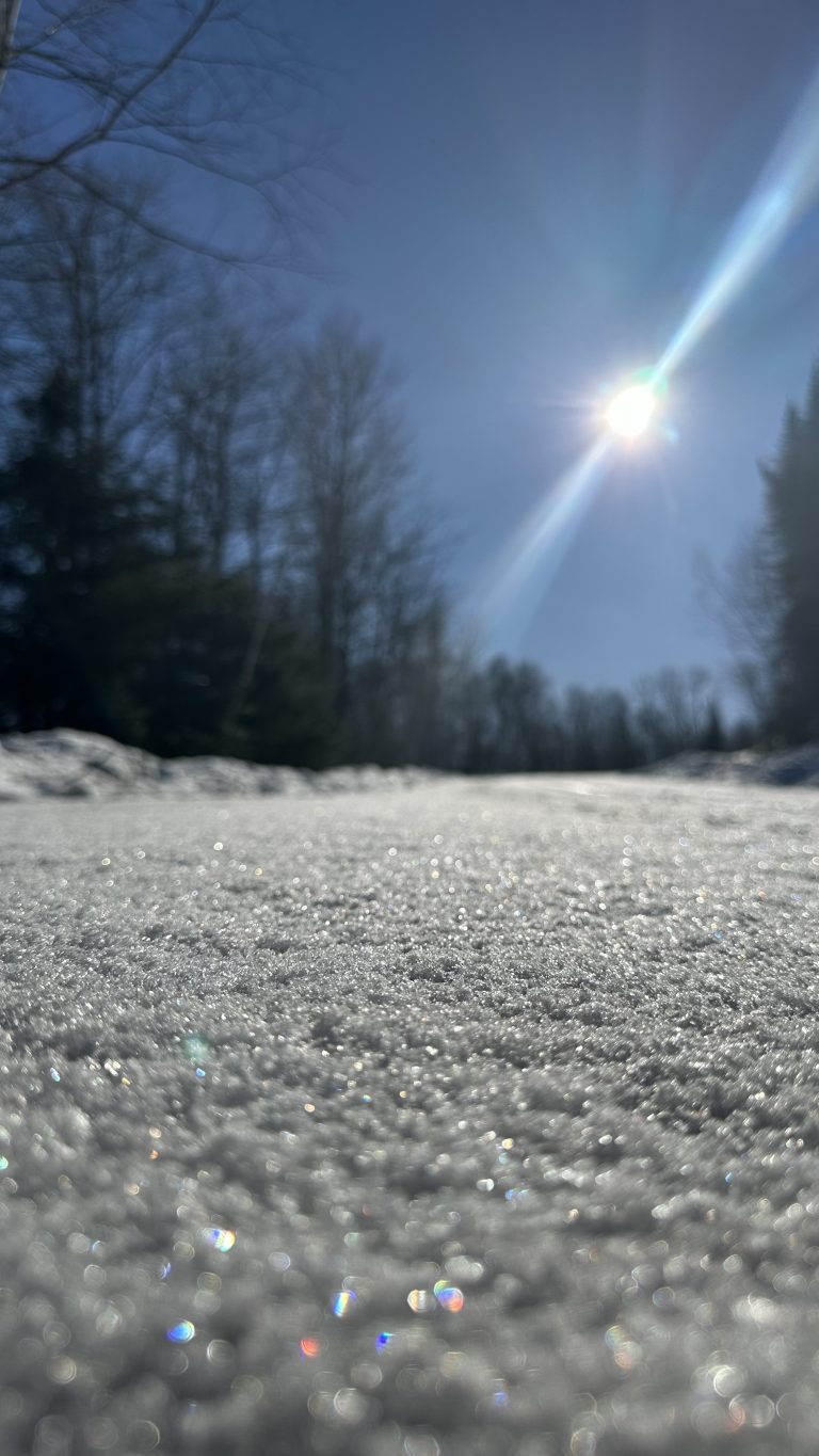 an image of a snowy path leading up a wintery scene with the sun creating