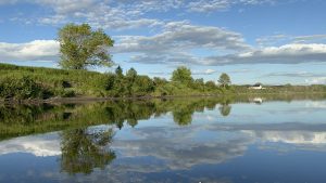 An image taken from a Kayak on the St. John river over looking New Brunswick Canada