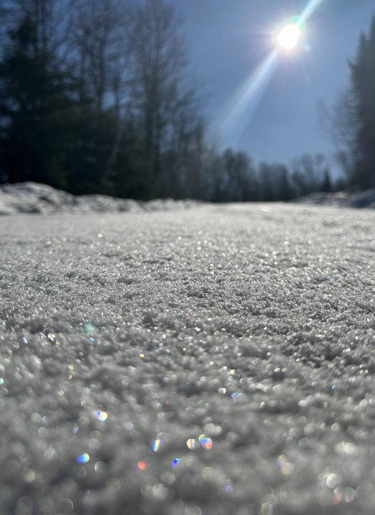 an image of a snowy path leading up a wintery scene with the sun creating